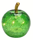 Aktuelles LED-Glas-Apfel Angebot bei Wreesmann in Cottbus ab 3,99 €