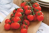 Tomate Cerise Grappe - U en promo chez U Express Tomate Cerise Grappe - U dans le catalogue U Express