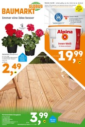 Aktueller Globus-Baumarkt Prospekt mit Alpina, "Immer eine Idee besser", Seite 1