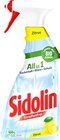 Reiniger Glasreiniger Zitrus von Sidolin im aktuellen Kaufland Prospekt für 1,49 €