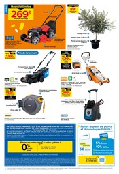 Promos Plantes dans le catalogue "Castorama" de Castorama Plantes en promo dans le catalogue Castorama à la page 2