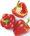Paprika rot Angebote bei famila Nordwest Lingen