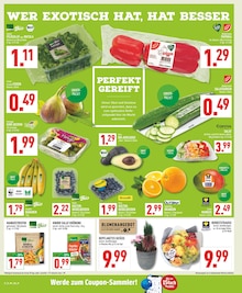 Bio Bananen im aktuellen Marktkauf Prospekt (Wuppertal) Bio Bananen im Marktkauf Prospekt "Aktuelle Angebote" mit 24 Seiten (Wuppertal)