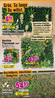Pflanzen im Hornbach Prospekt "Den besten Preis kann nur anbieten, wer ihn wirklich hat." mit 32 Seiten (Hannover)