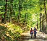 Doppelzimmer Standard im Ferien Hotel Rennsteigblick bei REWE im Illingen Prospekt für 149,00 €