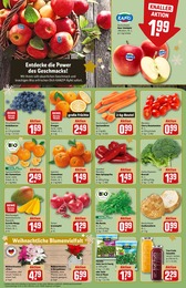 Pflanzen Angebot & Preis im aktuellen REWE Prospekt Pflanzen Angebot im aktuellen REWE Prospekt auf Seite 12