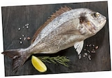 Aktuelle Fisch Angebote bei REWE in Bremen Aktuelles Dorade Royal Angebot bei REWE in Bremen ab 1,69 €