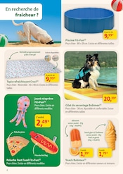 Promos Piscine dans le catalogue "Les promos de l'été !" de Maxi Zoo Piscine en promo dans le catalogue Maxi Zoo à la page 2