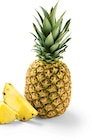 Aktuelles Ananas Angebot bei Netto Marken-Discount in Dresden ab 1,49 €