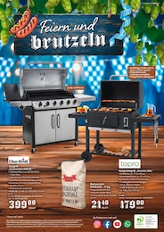 Holzkohle Angebot im aktuellen Selgros Prospekt auf Seite 16