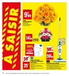 Chrysanthèmes Chrysanthèmes
