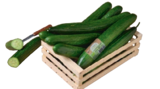 Bio-Gurke im tegut Prospekt Bio-Gurke von tegut... im aktuellen tegut Prospekt für 0,99 €