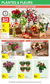 Promos Chrysanthèmes dans le catalogue "AU COEUR DU GOÛT" de Carrefour Chrysanthèmes en promo dans le catalogue Carrefour à la page 65