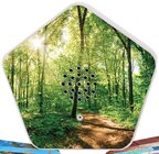 SOUNDS OF NATURE-Box im Angebot bei Penny in Coesfeld SOUNDS OF NATURE-Box Angebote von OLYMP bei Penny Coesfeld für 4,99 €