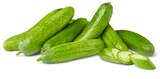 Penny Wittorf - Bio-Snackgurken Angebot im Prospekt Bio-Snackgurken bei Penny im Wittorf Prospekt für 1,11 €