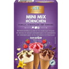 Mini Mix Hörnchen im Angebot bei Netto Marken-Discount in Lippstadt Mini Mix Hörnchen Angebote von Ice Fantasy bei Netto Marken-Discount Lippstadt für 1,99 €