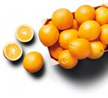 Oranges à jus à Lidl dans Pontoise