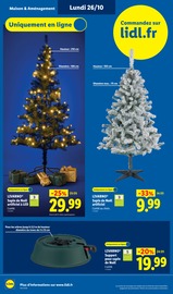 Promos Sapin Noël dans le catalogue "LE MOIS TOUJOURS PLUS" de Lidl Sapin Noël en promo dans le catalogue Lidl à la page 52