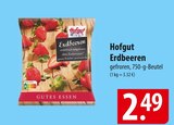 Hofgut Erdbeeren Angebote bei famila Nordost Neustadt für 2,49 €