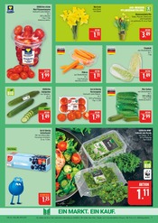 Aktueller Marktkauf Prospekt mit Garten, "AUSWAHL RIESIG, PREISE NIEDRIG", Seite 9
