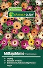 Mittagsblume Prachtmischung bei Raiffeisenmarkt im Prospekt "" für 0,39 €