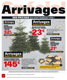 Offre Sapin Nordmann dans le catalogue Brico Dépôt du moment à la page 20