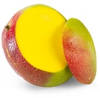 Mango im Angebot bei Netto Marken-Discount in Moers Mango Angebote bei Netto Marken-Discount Moers für 0,99 €