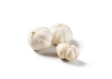 Knoblauch im Lidl Prospekt Knoblauch im aktuellen Lidl Prospekt für 0,99 €