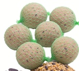 Vogelfutter-Set im Angebot bei Wreesmann in Dresden Vogelfutter-Set Angebote bei Wreesmann Dresden für 2,99 €