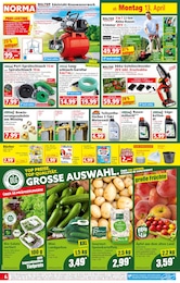 Spinat Angebot im aktuellen Norma Prospekt auf Seite 6