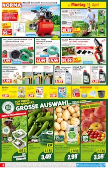 Wasser im Norma Prospekt "Mehr fürs Geld" mit 21 Seiten (Cottbus)