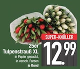 25er Tulpenstrauß XL Angebote bei EDEKA München für 12,99 €