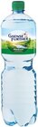 Mineralwasser Angebote von Gaense-Further bei Kaufland Mainz für 0,45 €