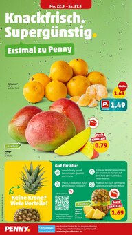 Ananas im Penny Prospekt "Wer günstig will, muss Penny." mit 38 Seiten (Dortmund)
