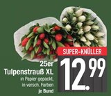 25er Tulpenstrauß XL Angebote bei E center Germering für 12,99 €