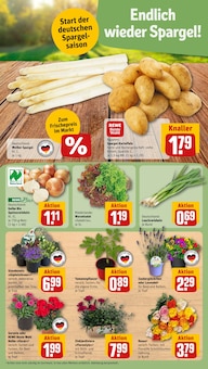 Spargel im REWE Prospekt "Dein Markt" mit 27 Seiten (Wiesbaden)