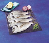 Super U Cestas - Promo Daurade Royale D'aquaculture Promo Daurade Royale D'aquaculture à 9,45 € dans le catalogue Super U à Cestas