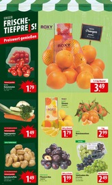 Tierfutter im famila Nordost Prospekt in Stralsund Aktueller famila Nordost Prospekt mit Tierfutter, "besser als gut!", Seite 4