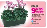 Jardineries du terroir Dole - Promo Jardinière de cyclamen "Victoria" ECLOZ Promo Jardinière de cyclamen "Victoria" ECLOZ à 9,99 € dans le catalogue Jardineries du terroir à Dole