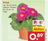 Primel im Netto Marken-Discount Prospekt Primel von im aktuellen Netto Marken-Discount Prospekt fĂŒr 0,89 âŹ