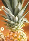 Ananas dans le catalogue Netto