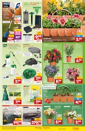 Aufbewahrungsbox im Netto Marken-Discount Prospekt in München Aktueller Netto Marken-Discount Prospekt mit Aufbewahrungsbox, "Aktuelle Angebote", Seite 15