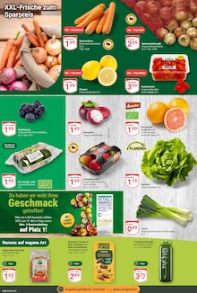 Tomaten im GLOBUS Prospekt "Aktuelle Angebote" mit 24 Seiten (Koblenz)