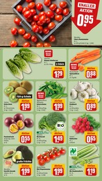 REWE Tierbedarf im Prospekt 