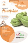 Plant de patate douce Chromo dans le catalogue Espace Emeraude