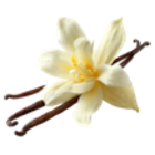 Kaufland Gelsenkirchen - High-Protein-Quarkriegel Vanille Angebot im Prospekt High-Protein-Quarkriegel Vanille bei Kaufland im Gelsenkirchen Prospekt für 0,59 €