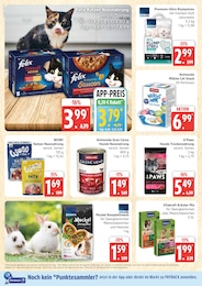 Marktkauf Hundefutter im Prospekt 