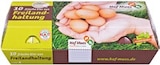 Aktuelles Frische Eier Angebot bei Kaufland in Hamm ab 2,89 €