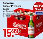 Trinkgut Petershausen - Budvar Premium Lager Angebot im Prospekt Budvar Premium Lager bei Trinkgut im Petershausen Prospekt für 15,99 €