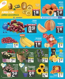 Blumen Angebot & Preis im aktuellen EDEKA Prospekt Blumen Angebot im aktuellen EDEKA Prospekt auf Seite 6